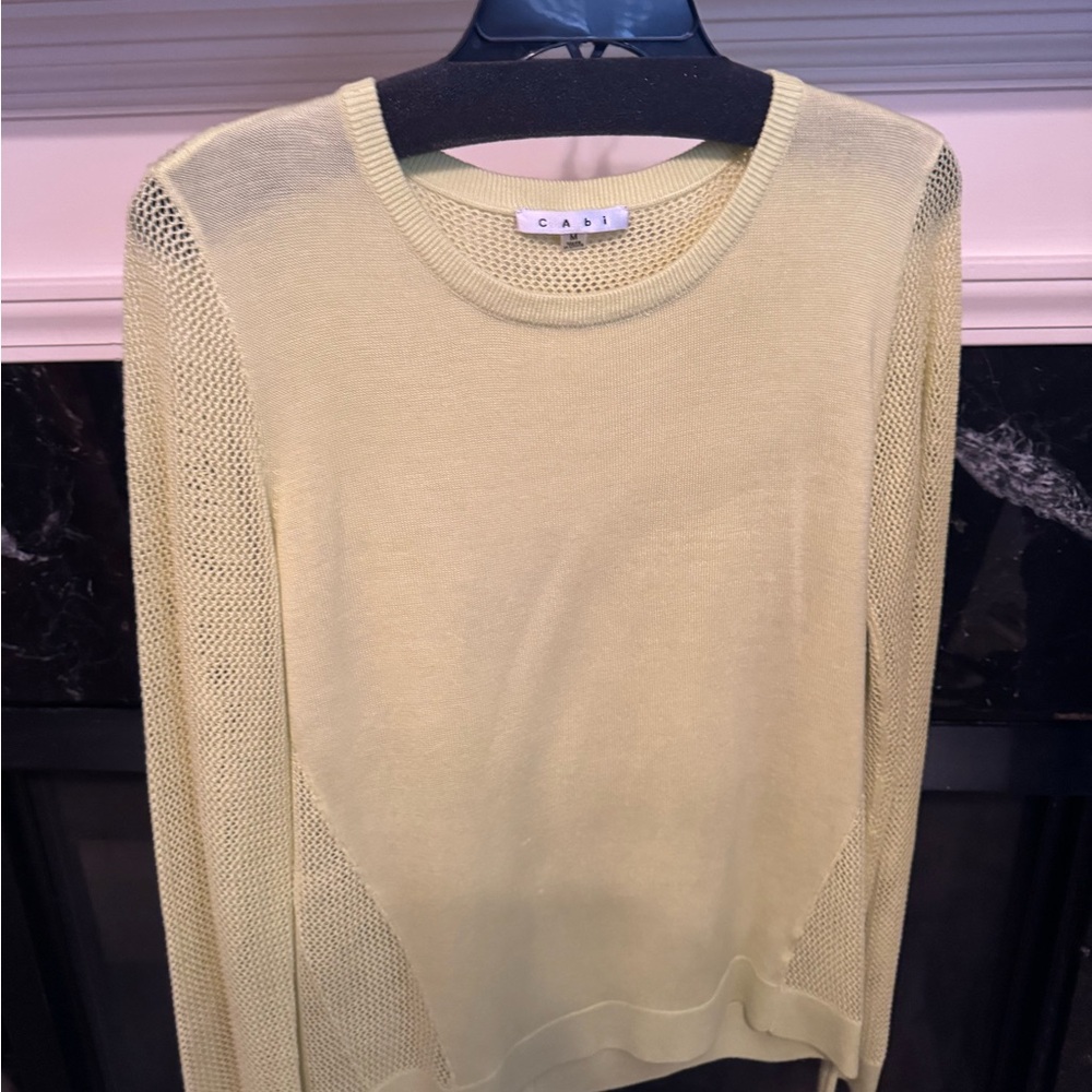 Cabi Light Green Sweater